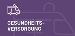 Themenfeld Gesundheitsversorgung