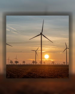 Windkraft / Foto: Canva