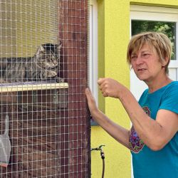 Alexandra Wagner stellt ihre Schützlinge vor. Foto: Gina Werthe / Landkreis Prignitz