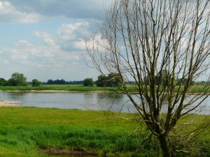 An der Elbe (Foto: LK Prignitz)